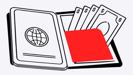 Паспорт валютной сделки: чем его заменили