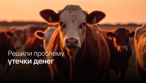 Финдир расколдовал проклятую должность — менеджера по закупкам